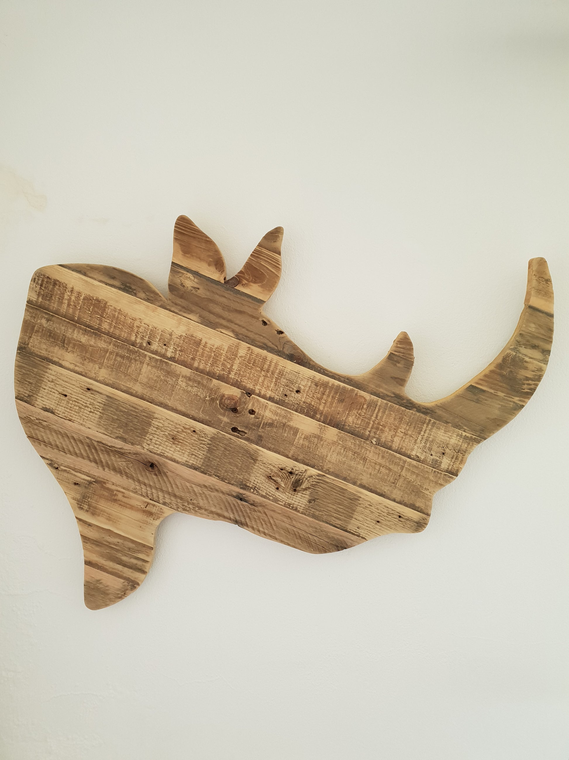 Rhino Head